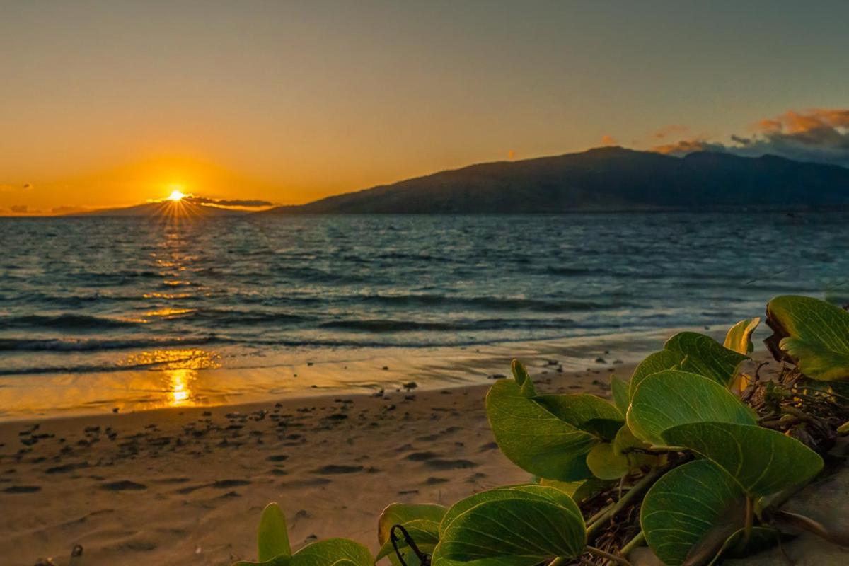 شقة Maui Sunset B-115 كيهي المظهر الخارجي الصورة